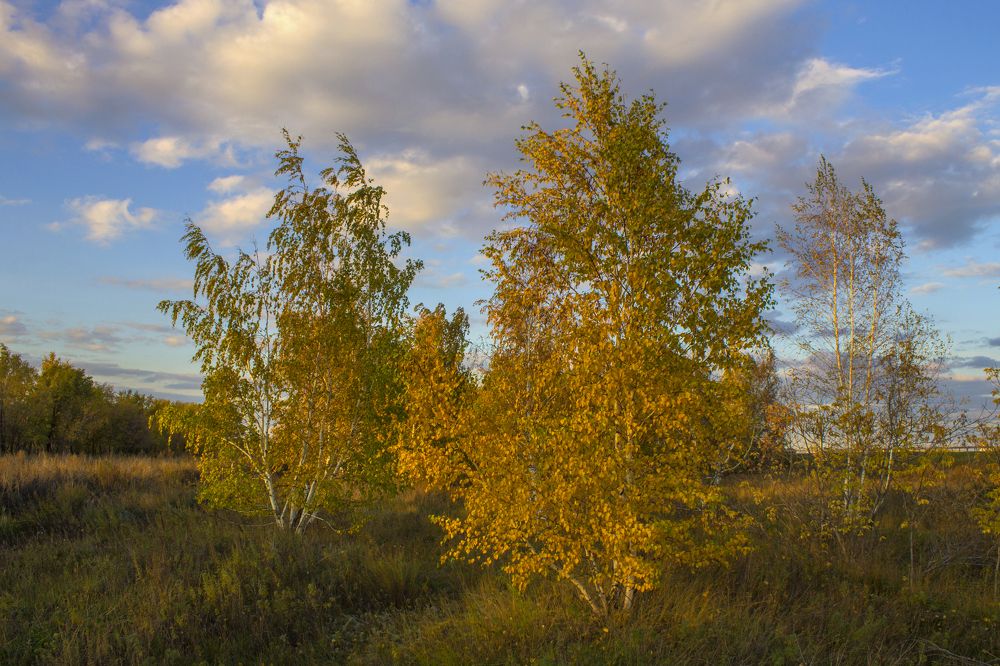 Photograph by Вячеслав Булатов