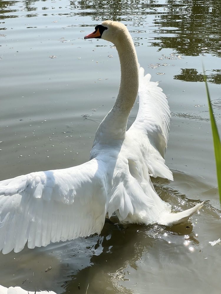 Photograph by Eugenia Schmidt