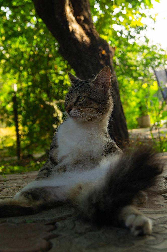 Photograph by Vlad Proshin