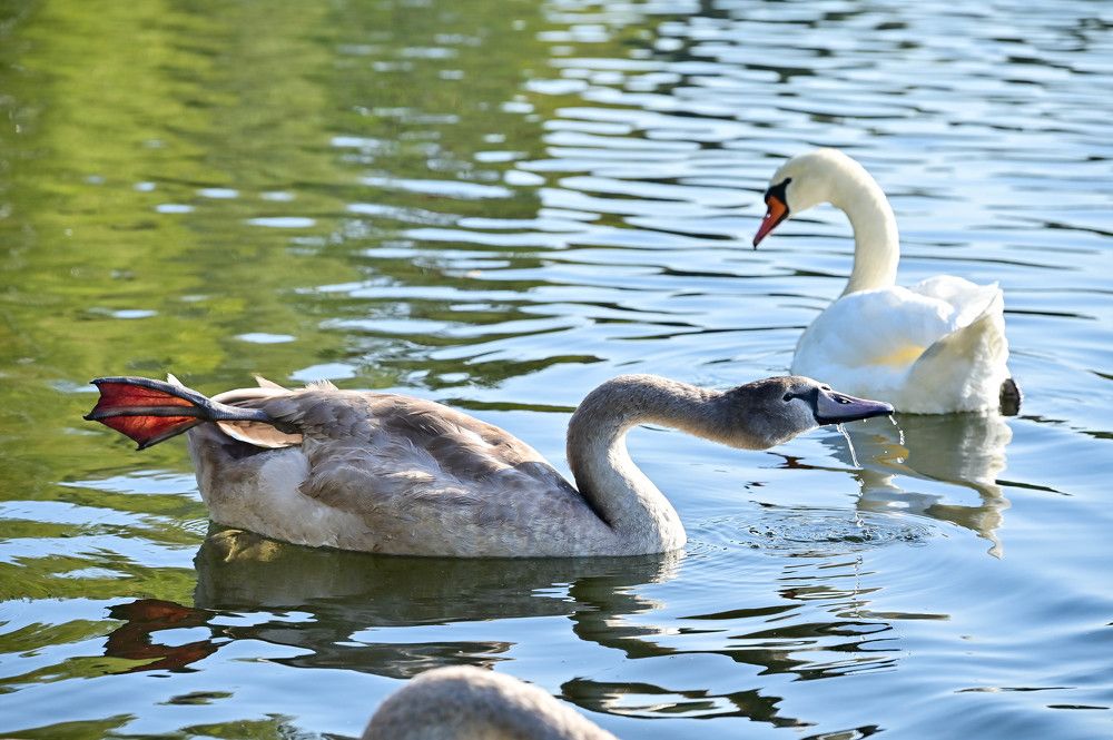 Photograph by Tanzilya Gabidullina