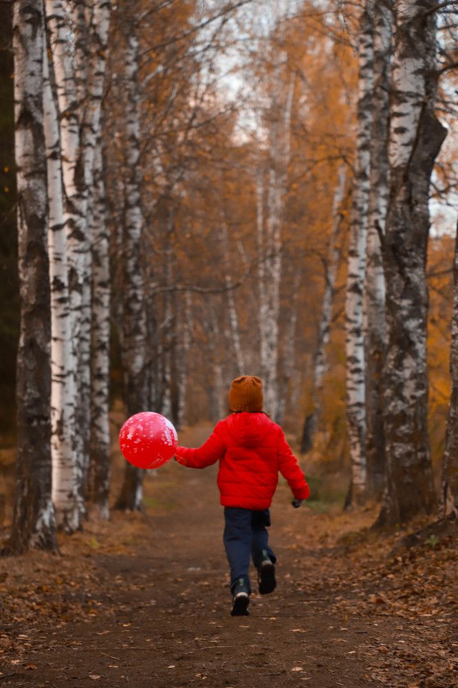 Photograph by Елена Сиднина