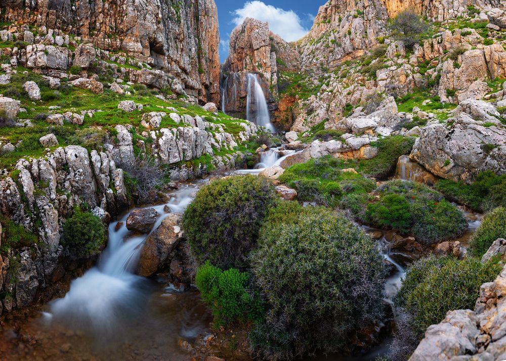 Photograph by Seif Eddine Alaa