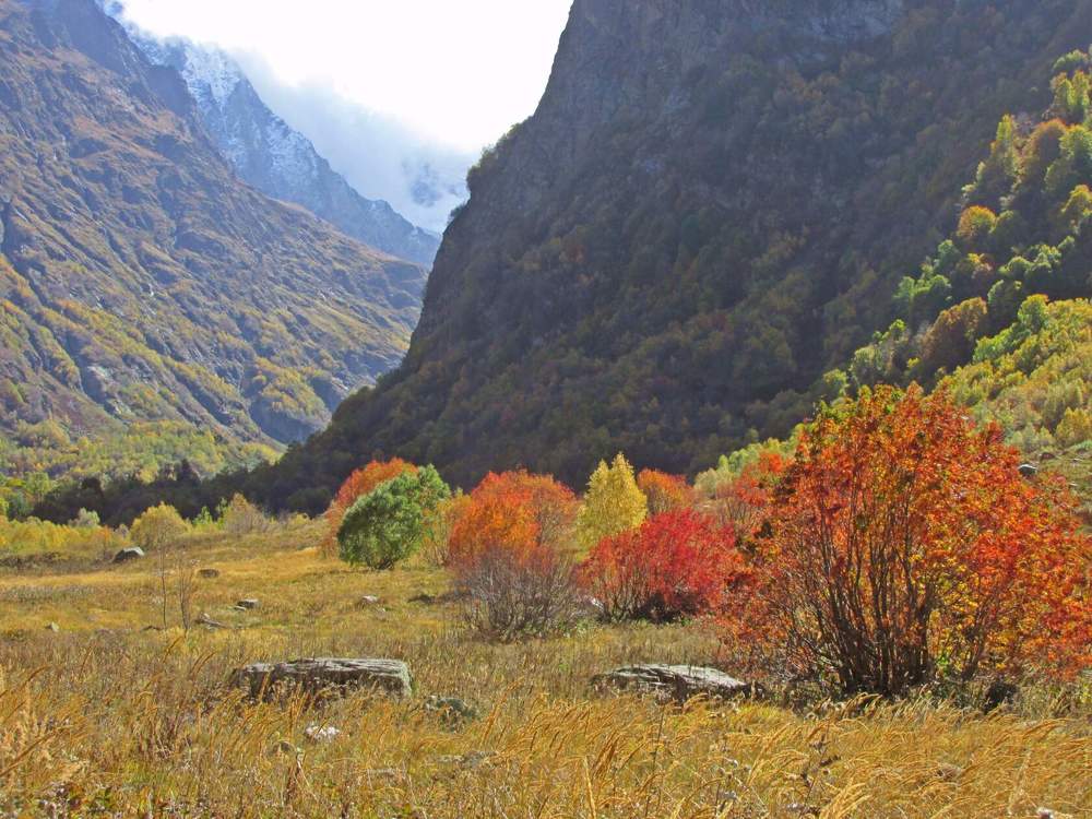 Яркая осень Домбая.
