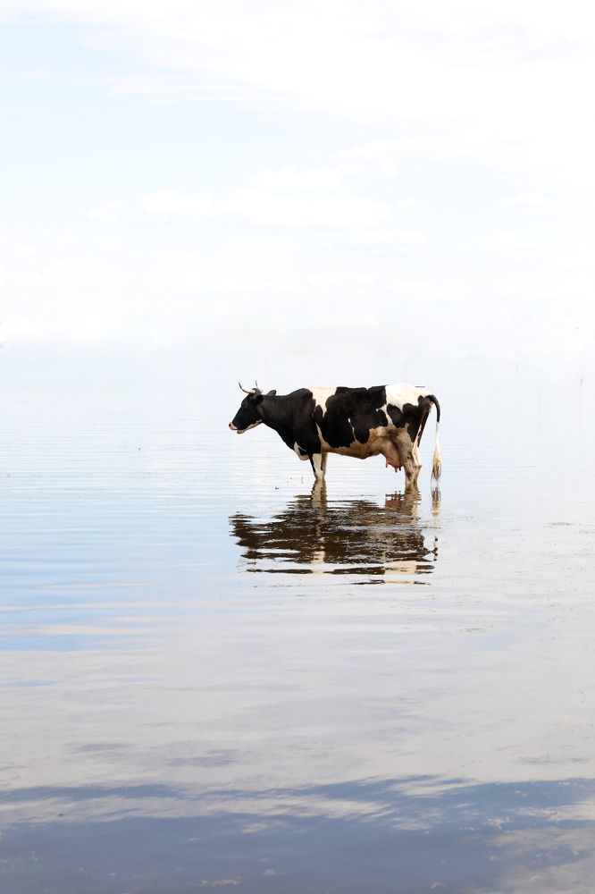 Фотография автора Яврова Татьяна