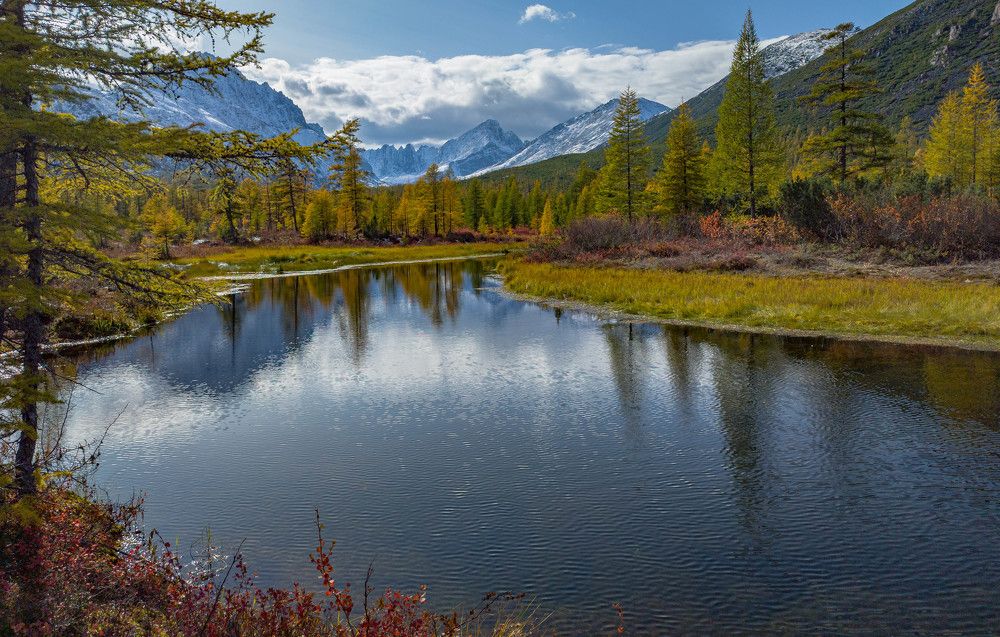 Фотография автора Александр Довганюк