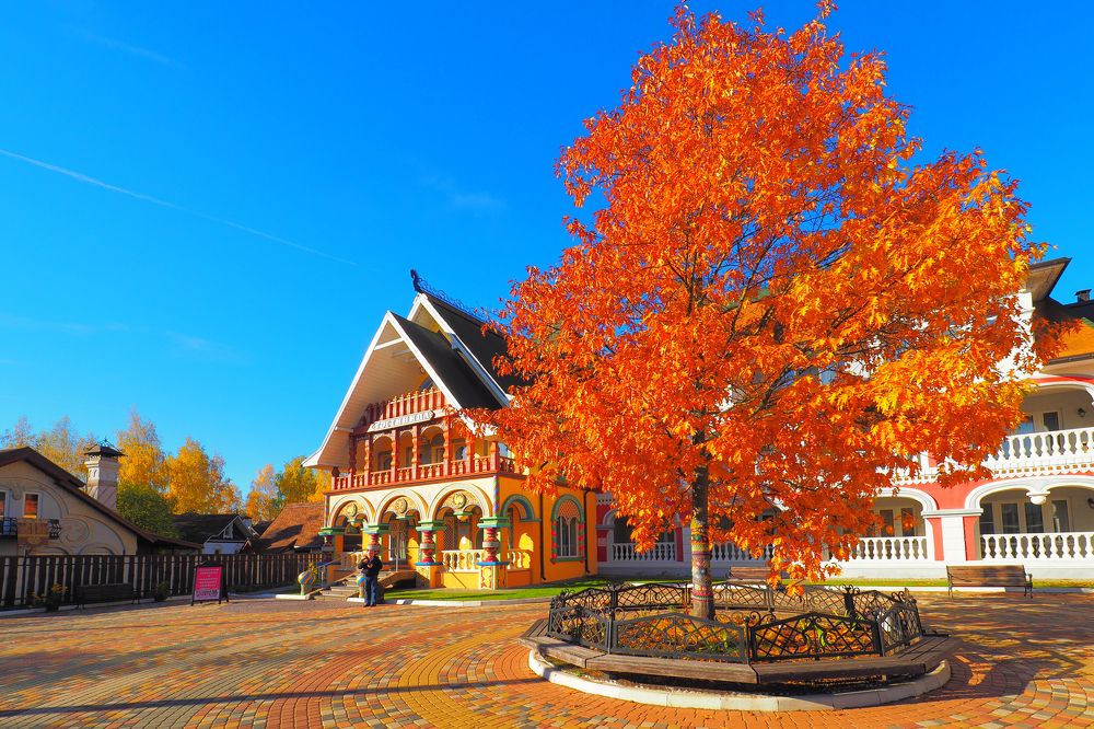 Photograph by Дмитрий Потапов