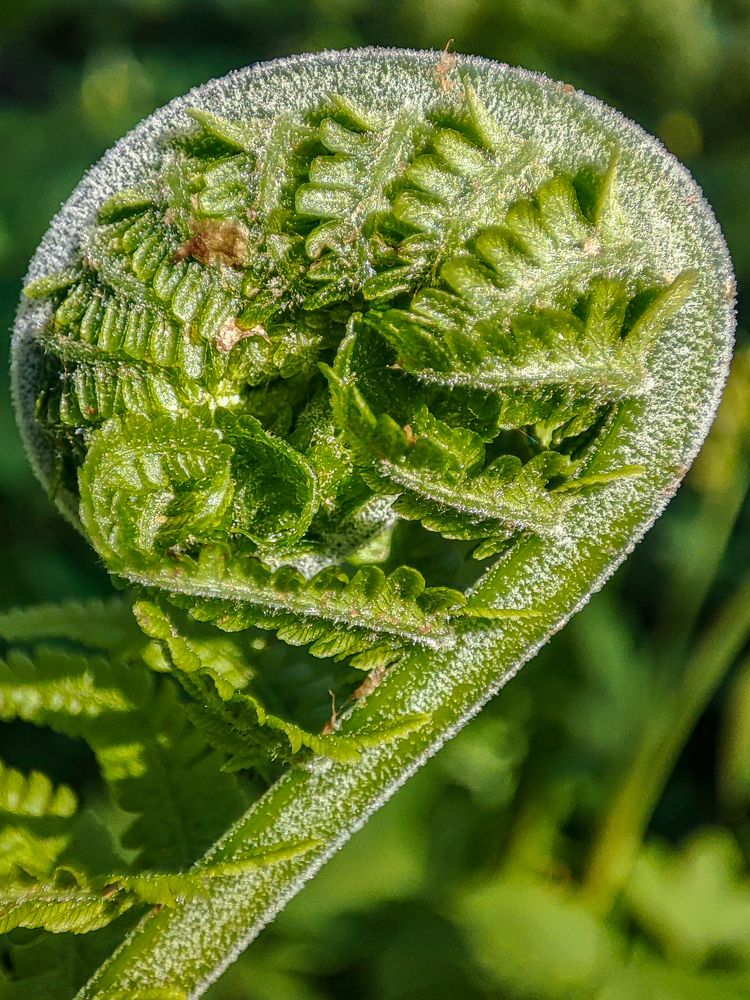 Фотография автора Александр Довганюк