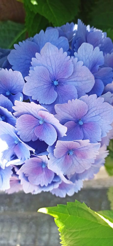 Photograph by Виорика Фоменко