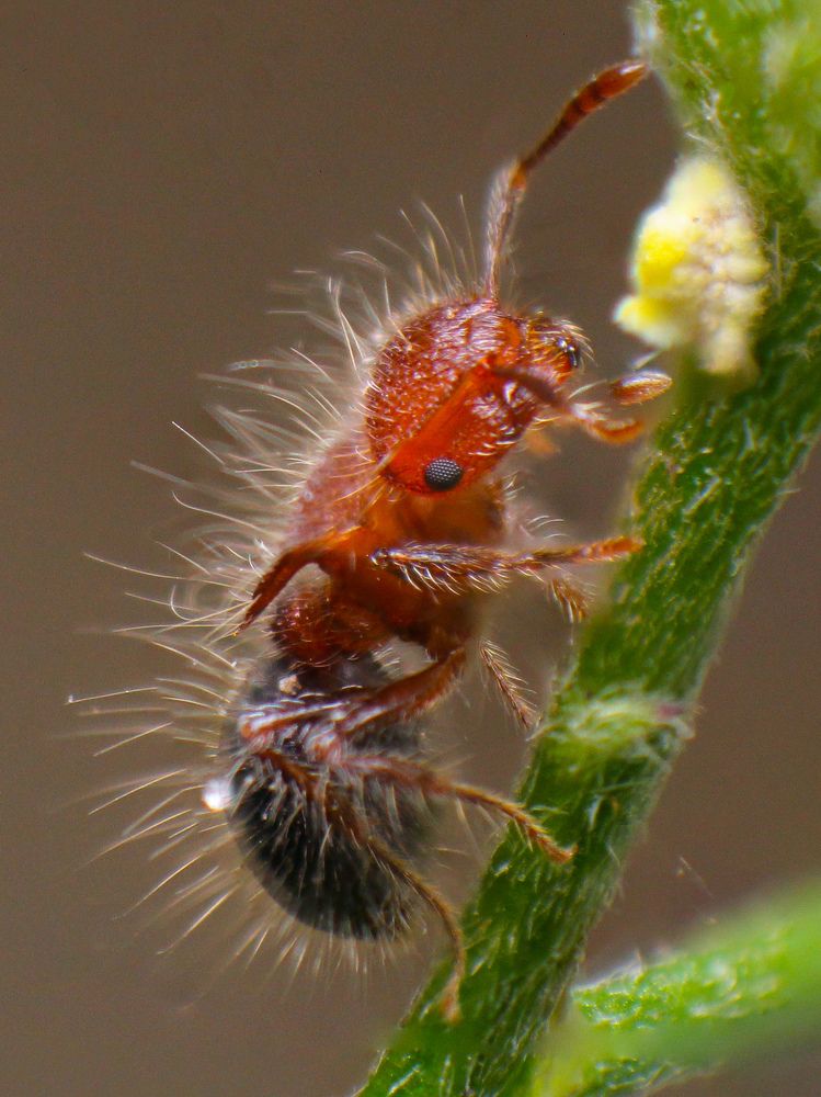 Photograph by Dewindu H. Fernando