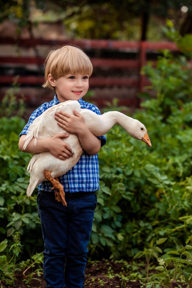 Photograph by Ирина Юрлова