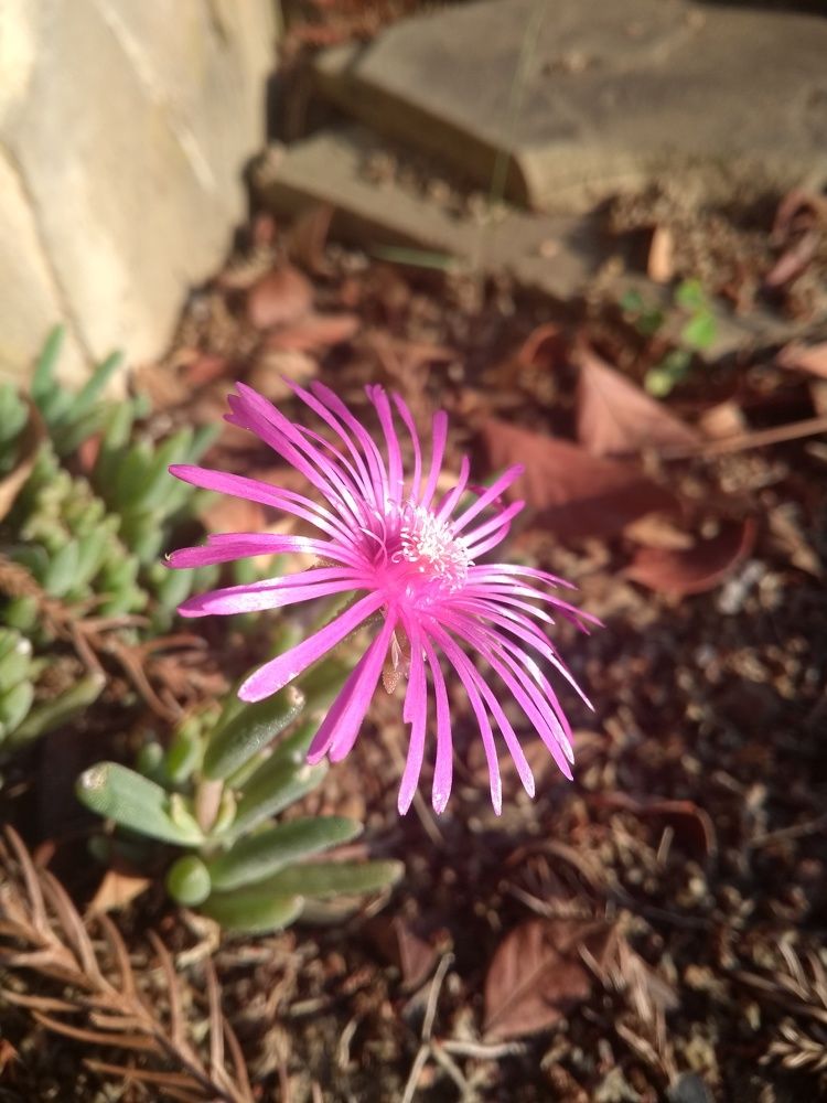 Photograph by Татьяна Васильева