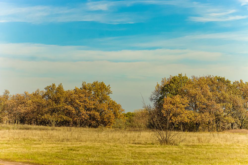 Photograph by Николай Кенгели