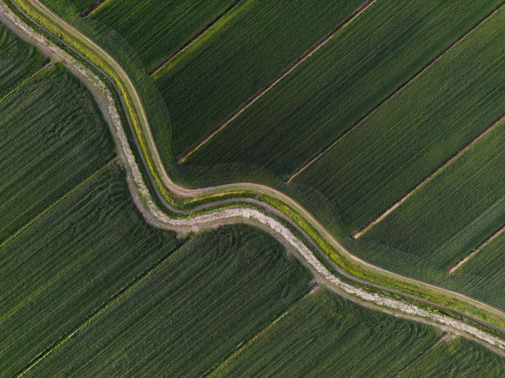 Photograph by Mattia Chersicola