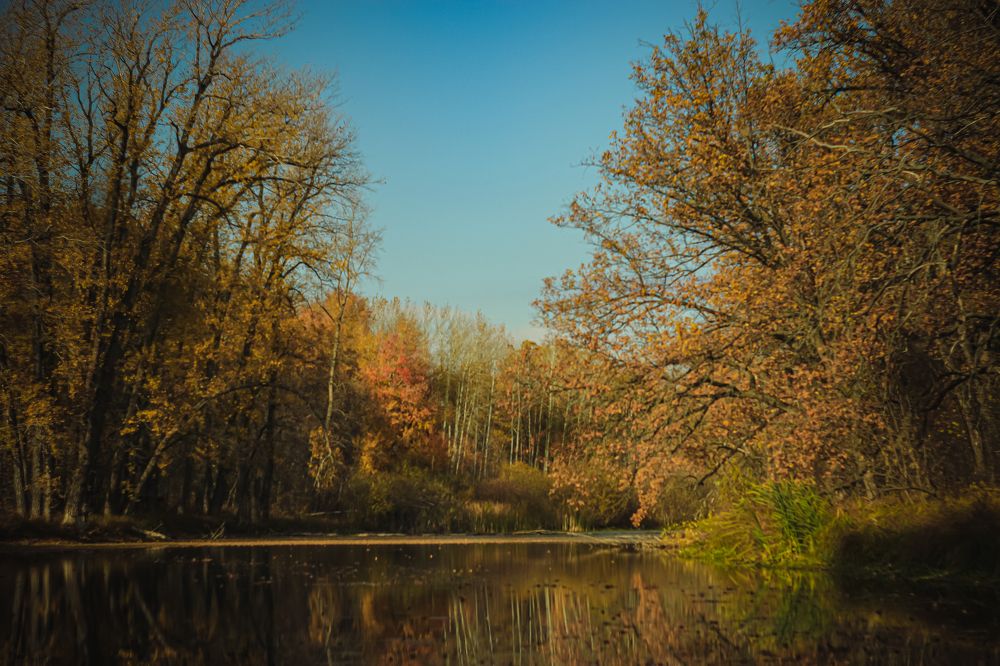 Photograph by Николай Кенгели