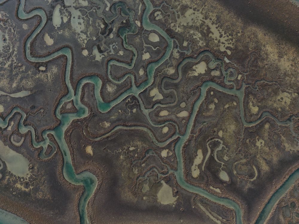 Photograph by Mattia Chersicola