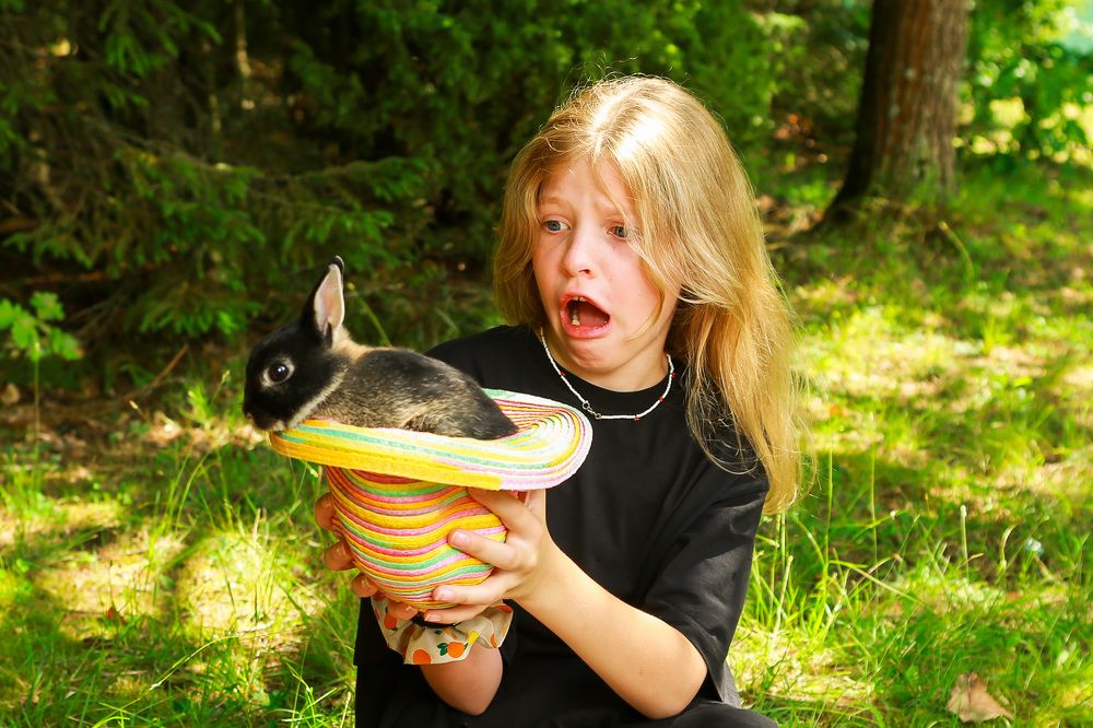 Фотография автора Игорь Ефремычев