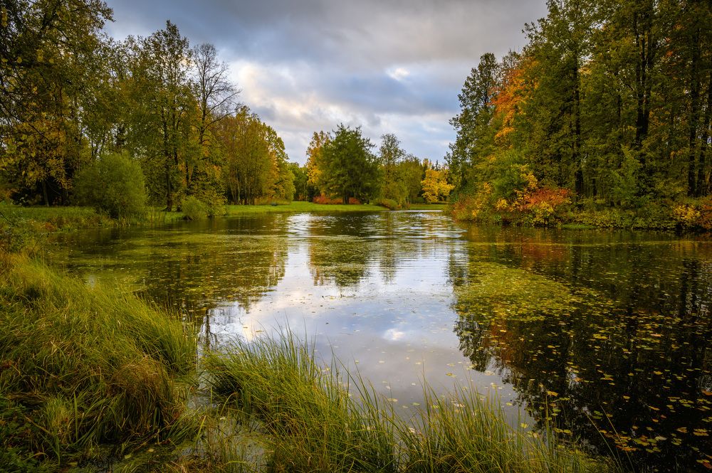 Photograph by Бабурин Олег