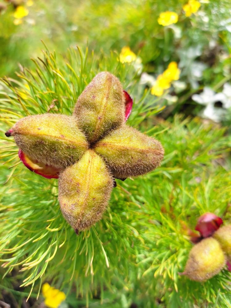 Photograph by Татьяна Васильева