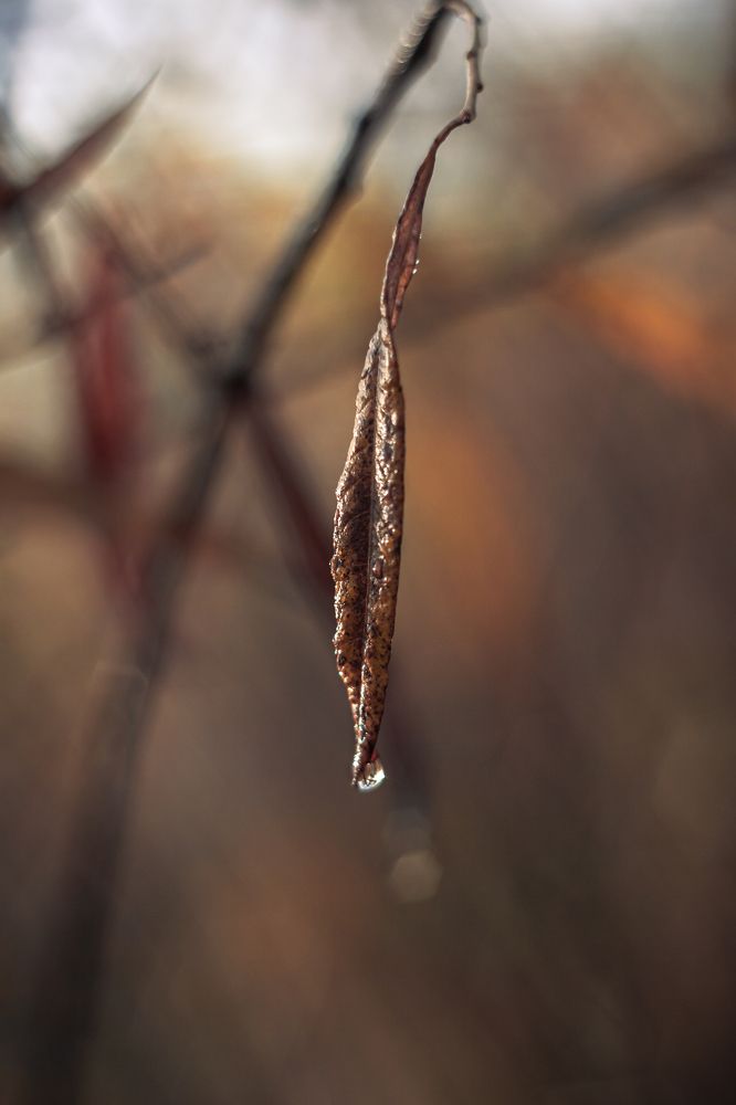 Photograph by Наталья Островцева