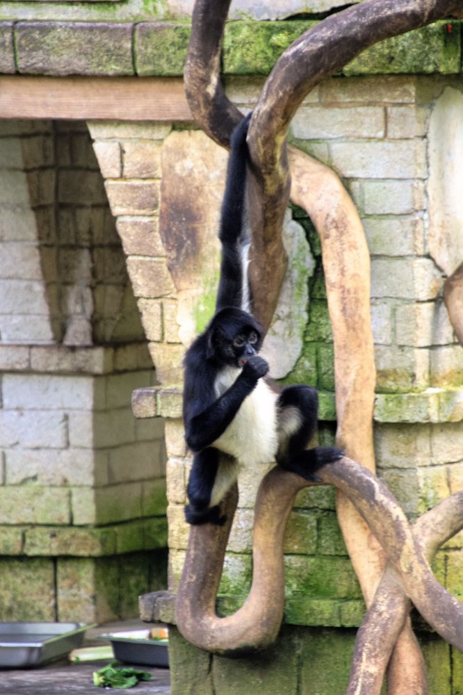 Фотография автора Juan Carlos Castillo