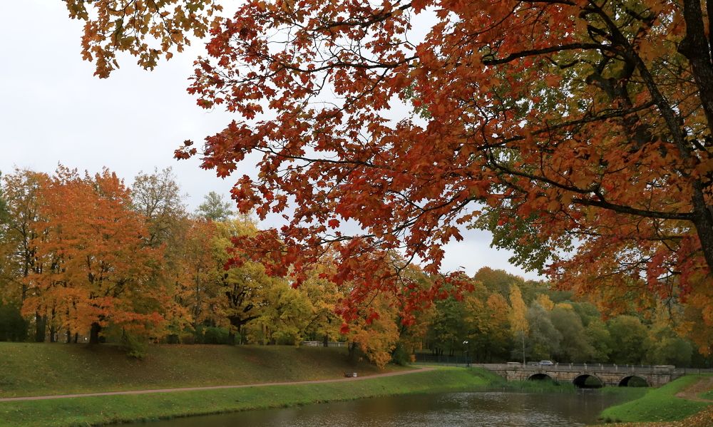 Photograph by елена