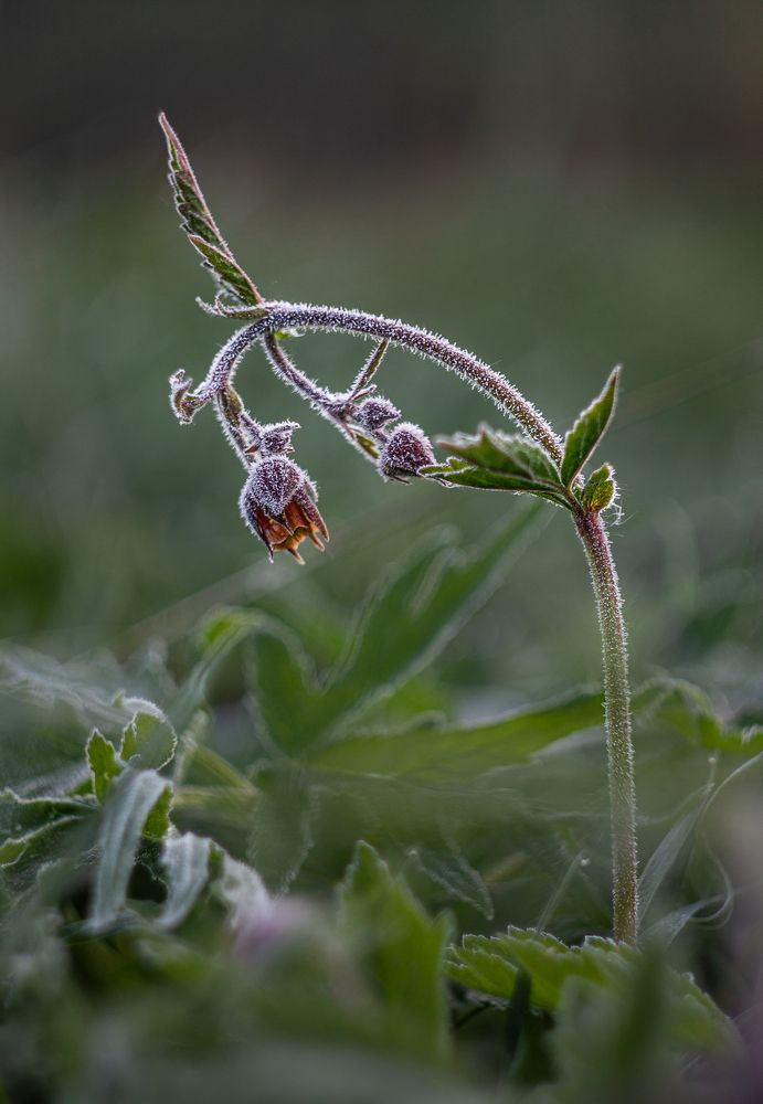 Photograph by Vera Komarova