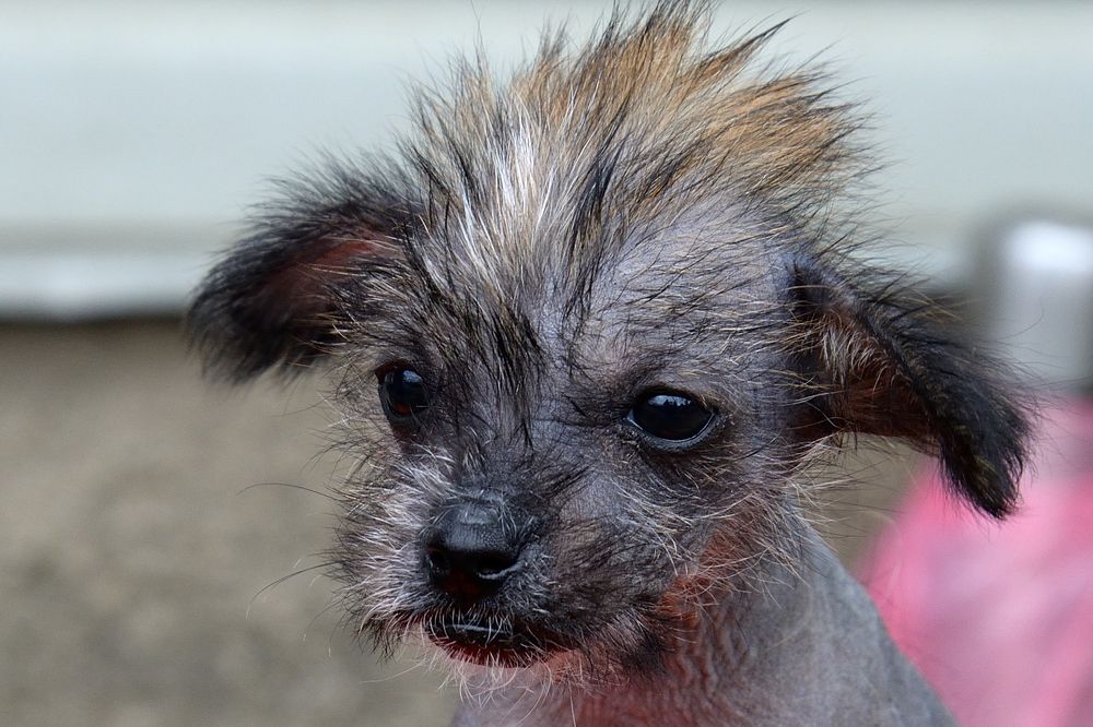 Photograph by Анатолий Сидоренков