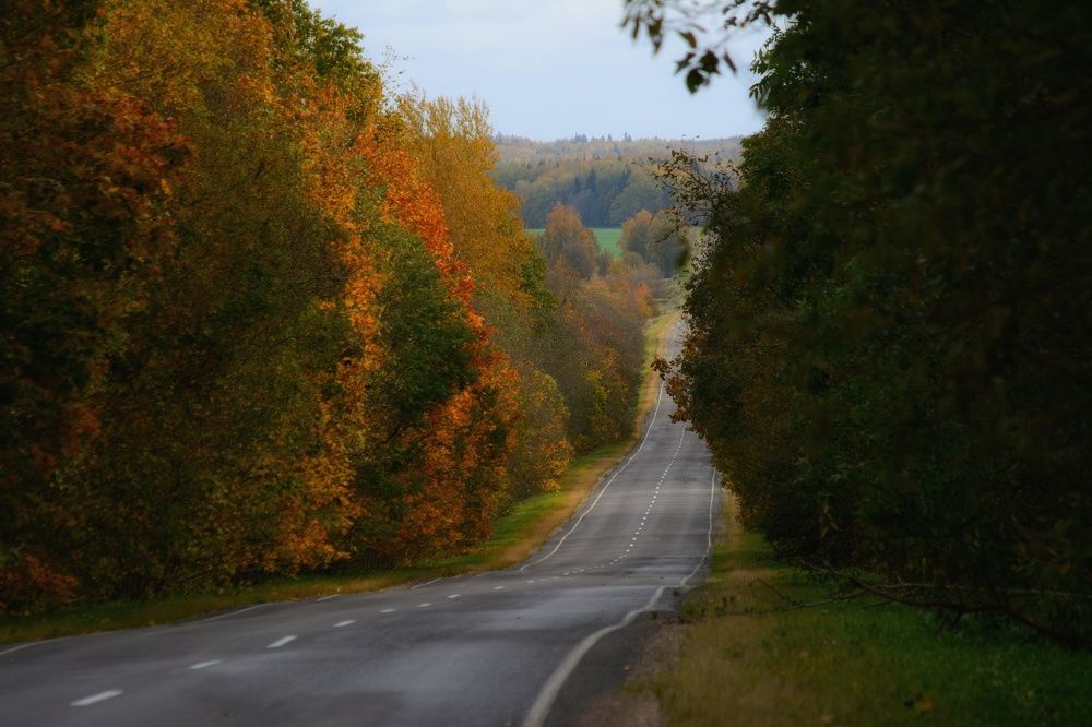 Photograph by Сергей Симаков