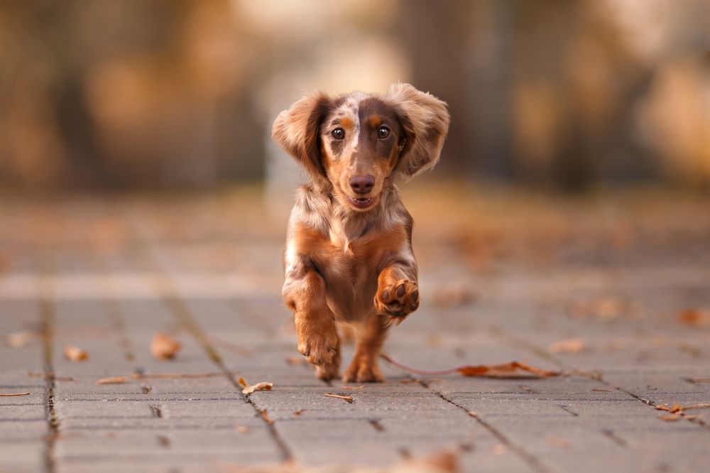 Photograph by Костусева Евгения Юрьевна