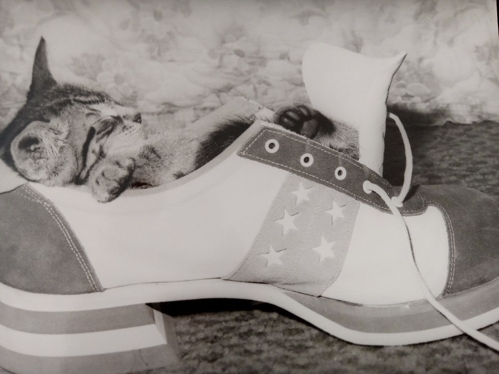 Photograph by Paul Bowers