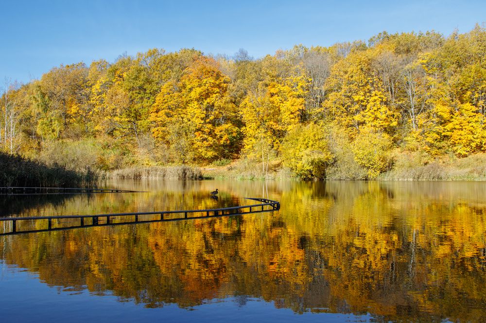 Photograph by Ольга Осинина