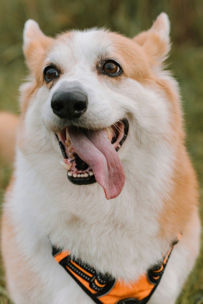 Photograph by Наталия Розанова