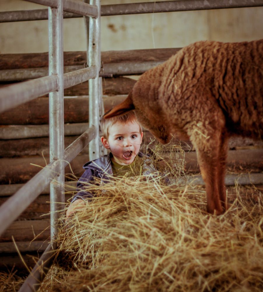 Photograph by Milana Rukaber