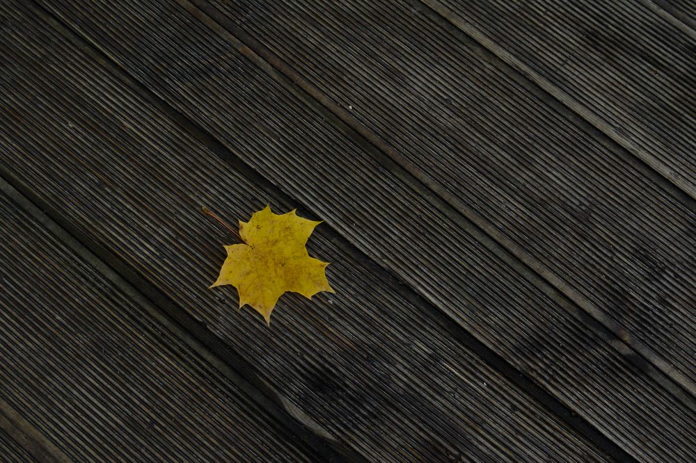 Photograph by Ольга Осинина