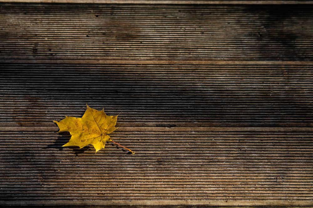 Photograph by Ольга Осинина