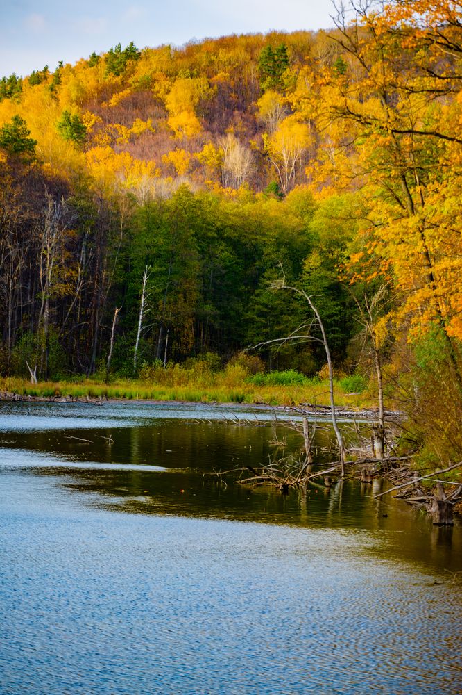 Фотография автора Дмитрий Новиков