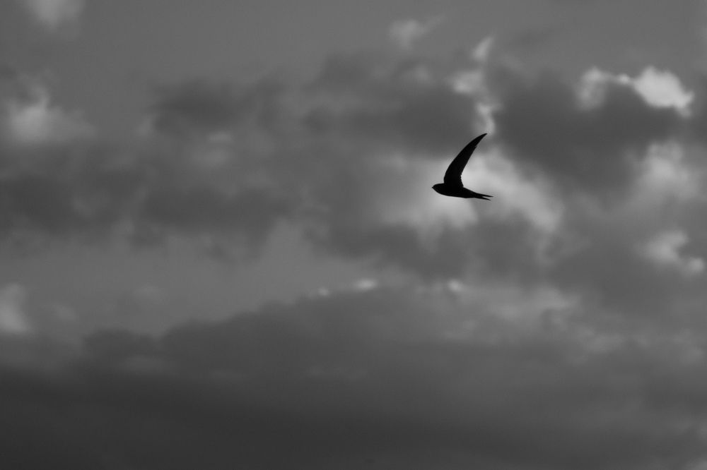 Photograph by Дмитрий Рзянин