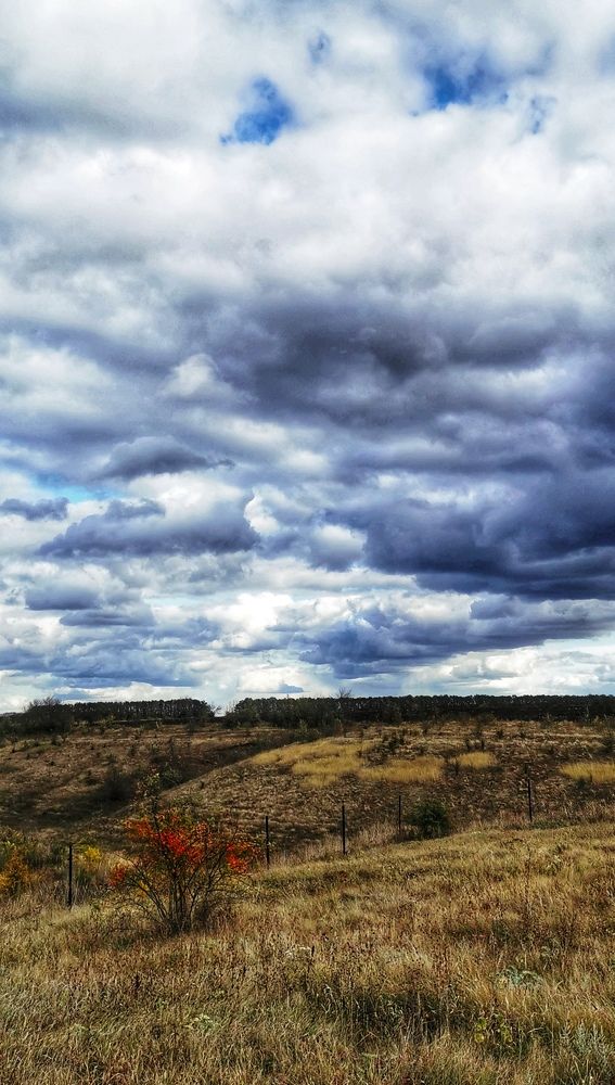 Photograph by Любовь Колмакова