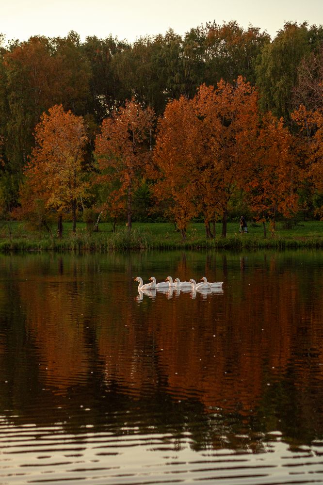 Photograph by Алена Горшкова