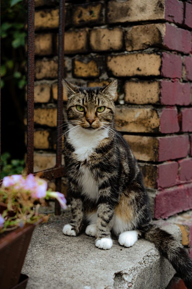 Photograph by Елена Осокина