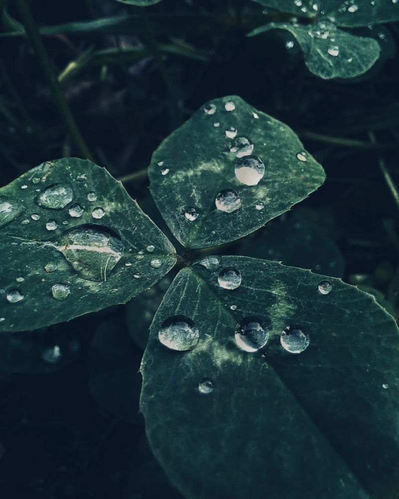 Photograph by Екатерина