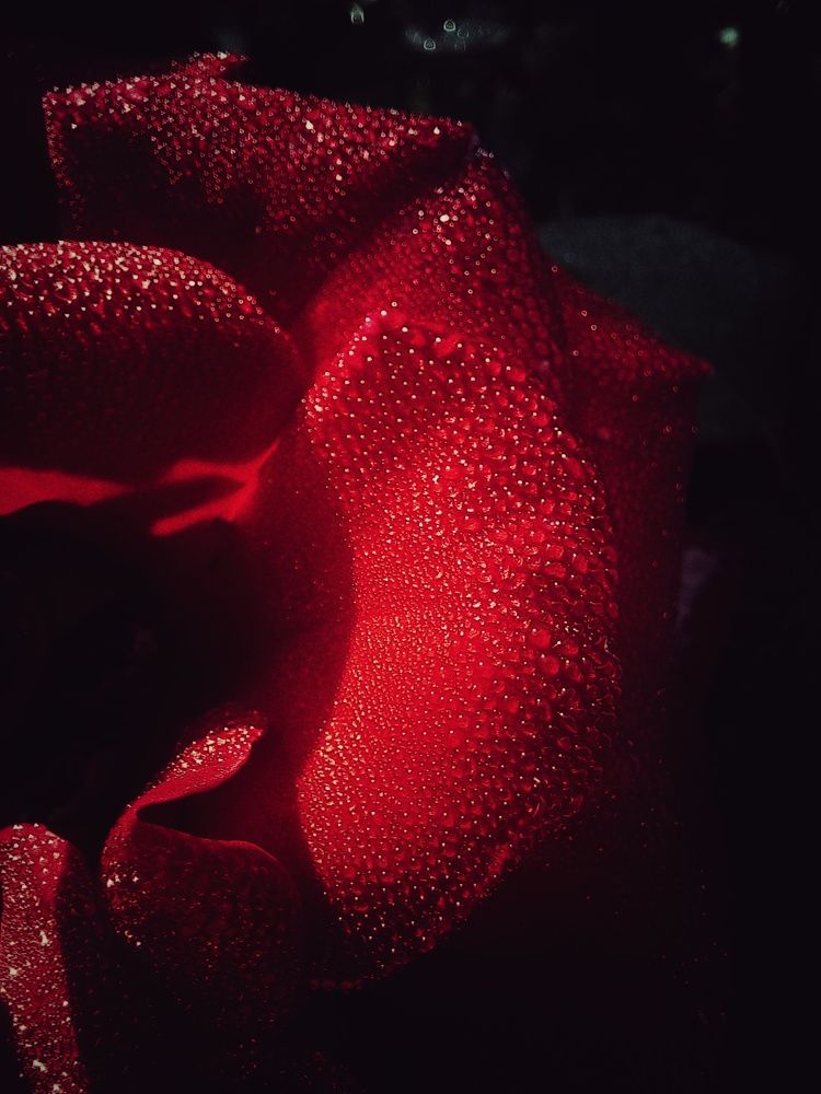 Photograph by Екатерина