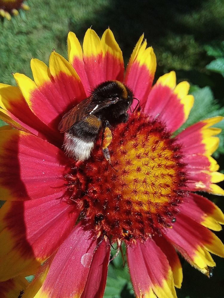 Photograph by Екатерина