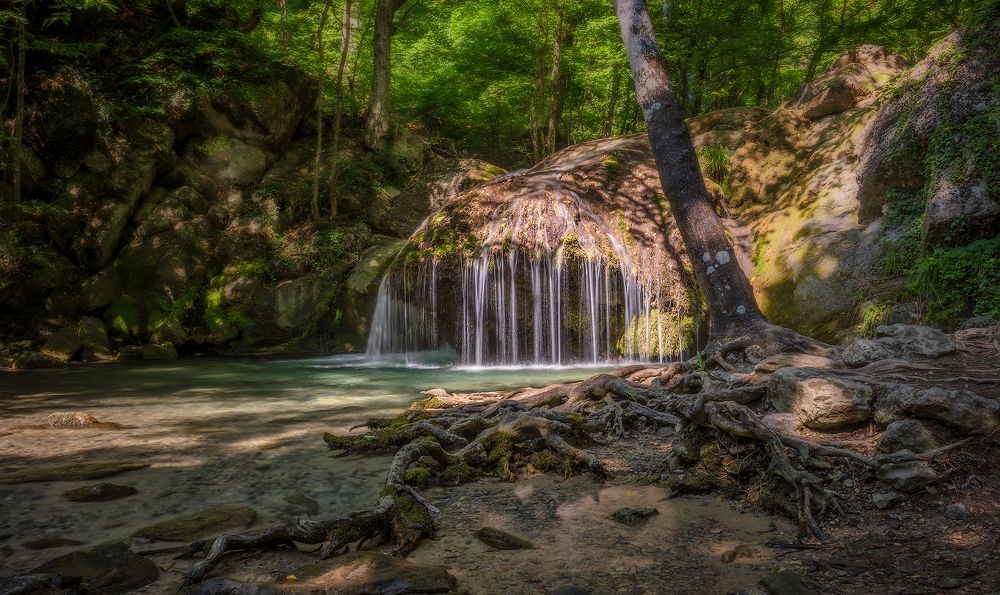 Photograph by Владимир Яковлев