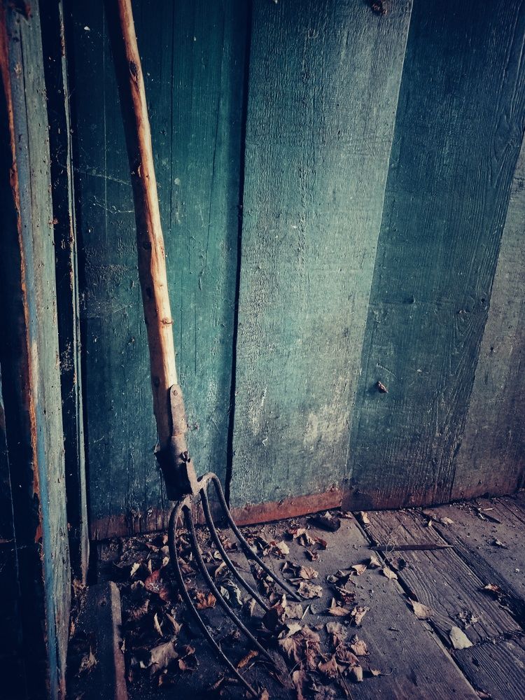 Photograph by Екатерина