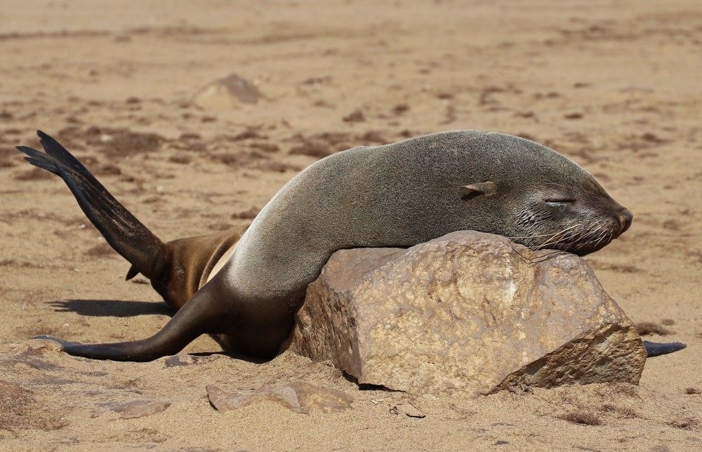 Photograph by Диана Жагрина