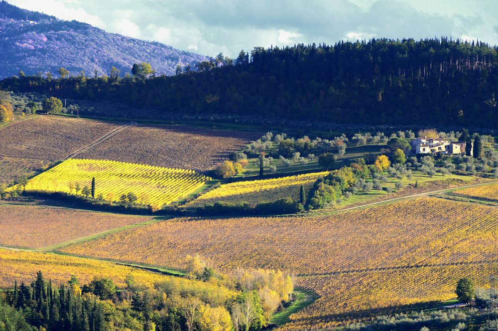 Photograph by Paolo Mola