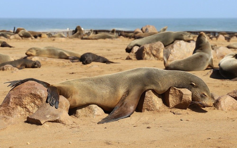 Photograph by Диана Жагрина