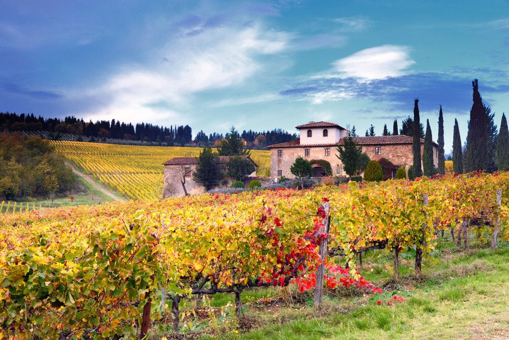 Photograph by Paolo Mola