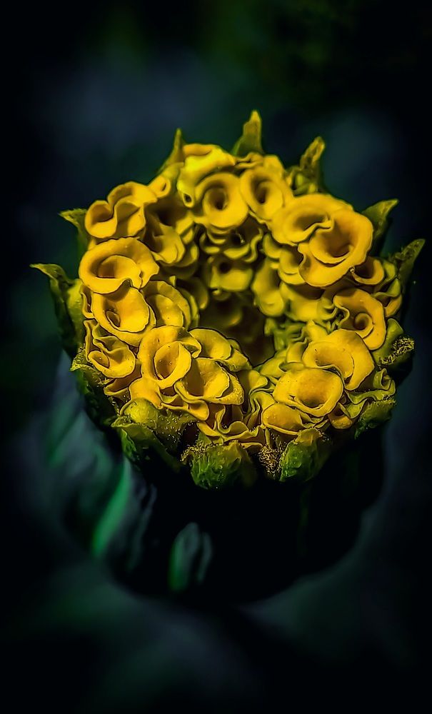 Photograph by Наталья Лищинская